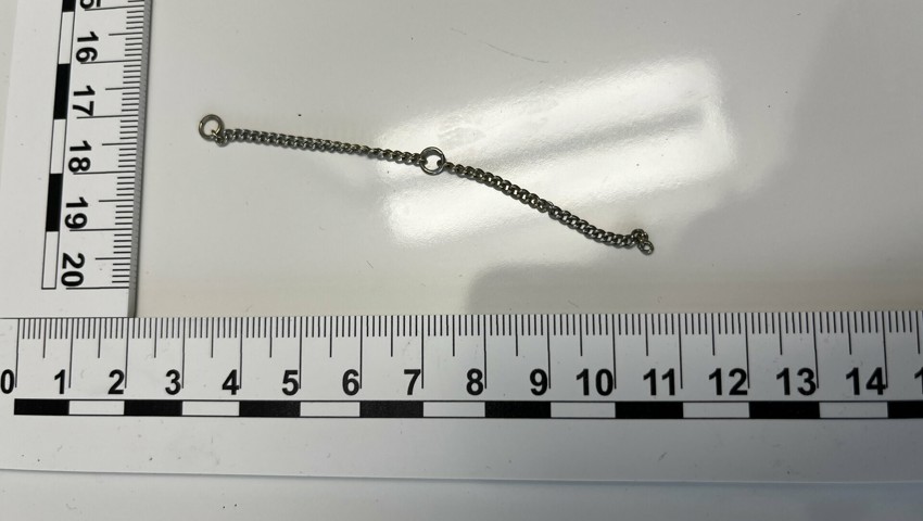 Sicherstellung E 1.29 Kette Sicherstellung E 1.29 Kette
