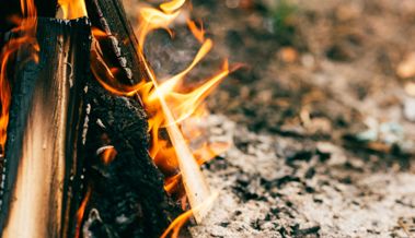 «Alle Waldgebiete sind derzeit gefährdet»: So ist das Rheintal gegen Waldbrände gewappnet