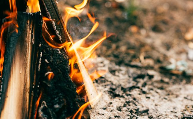 «Alle Waldgebiete sind derzeit gefährdet»: So ist das Rheintal gegen Waldbrände gewappnet