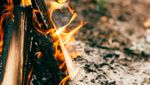 «Alle Waldgebiete sind derzeit gefährdet»: So ist das Rheintal gegen Waldbrände gewappnet