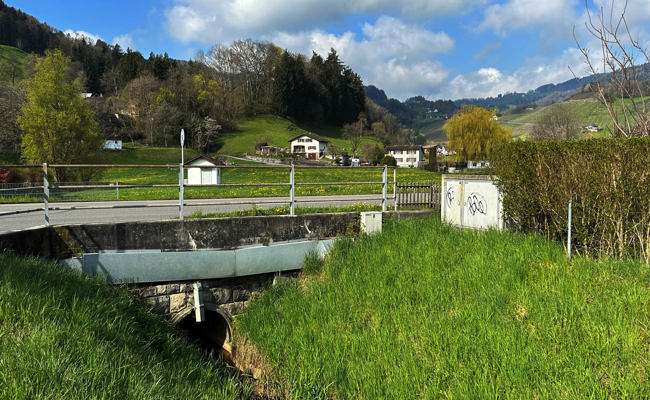 Rheintalerinnen und Rheintaler schicken ihre Bilder vom Osterspaziergang