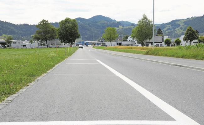 Von Falschparkern und Müllsündern