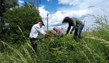 Gemeinde schafft 100-%-Stelle für  Biodiversität