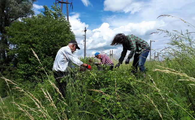 Gemeinde schafft 100-%-Stelle für  Biodiversität