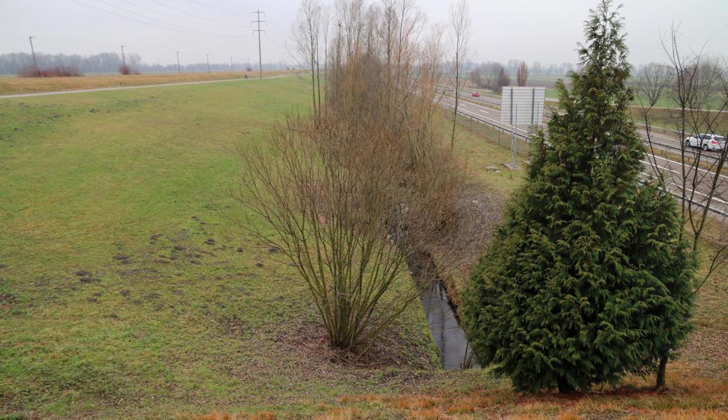 Aus dem Bach neben der Autobahn A13 musste mit Hilfe eines Kranwagens das Auto geborgen werden. Die Bergungsaktion hatten die Unfallbetroffenen selbst organisiert.