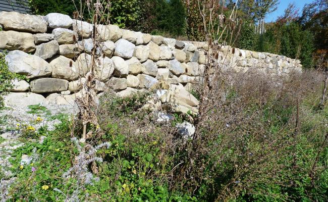 Mehr Lebensraum für Geburtshelferkröte