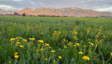 Gedanken zur Auffahrt: Heilung kommt durch Ruhe