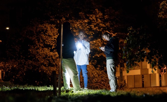 Eierwürfe, Böller und laute Musik: So verlief die Halloween-Nacht bei uns