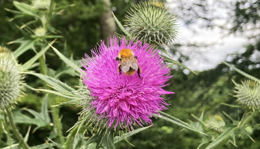 Die «Haut der Erde» ist verletzlich, aber ihre Wunden können heilen
