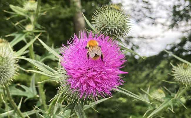 Die «Haut der Erde» ist verletzlich, aber ihre Wunden können heilen
