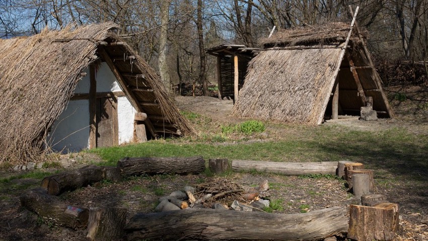 Auf dem Freilichtgelände des Alamannen Museums befinden sich mit Strohdächern bedeckte Gebäude. 