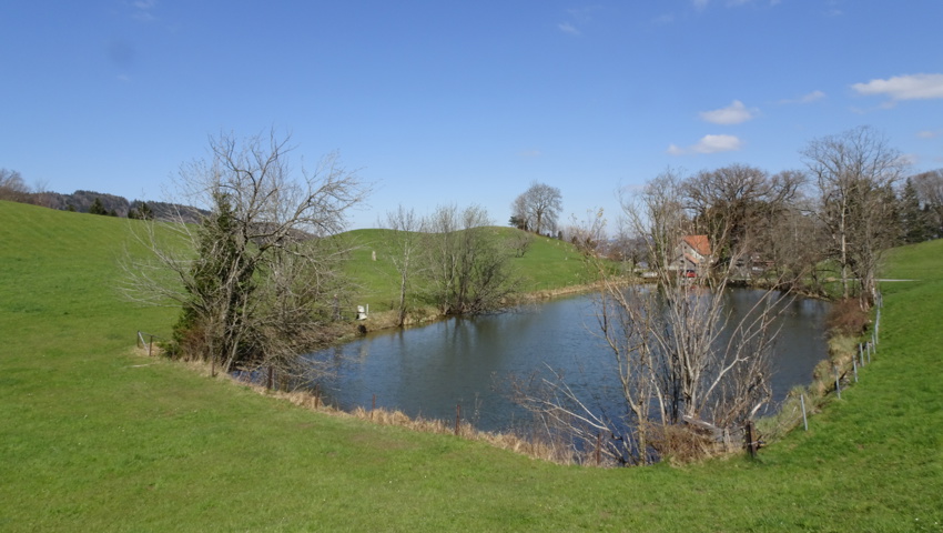 Im Mitlehn AI: Der Frühling ist noch nicht ganz angekommen Im Mitlehn AI: Der Frühling ist noch nicht ganz angekommen