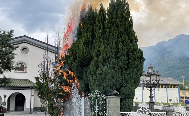 Unkraut verbrennen artete aus: Zwei Zypressen standen in Flammen