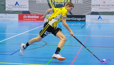 Die Gators besiegen den Tabellennachbarn und klettern in die obere Tabellenhälfte