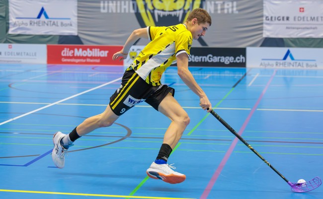 Die Gators besiegen den Tabellennachbarn und klettern in die obere Tabellenhälfte