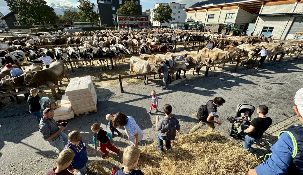 Image00006 Image00006