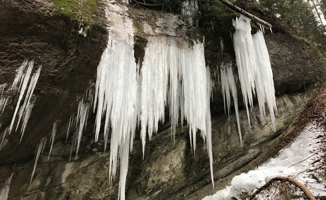 Ein in diesem Winter seltenes Phänomen - Eiszapfen