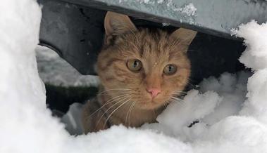 Gesucht: die schönsten Schneebilder