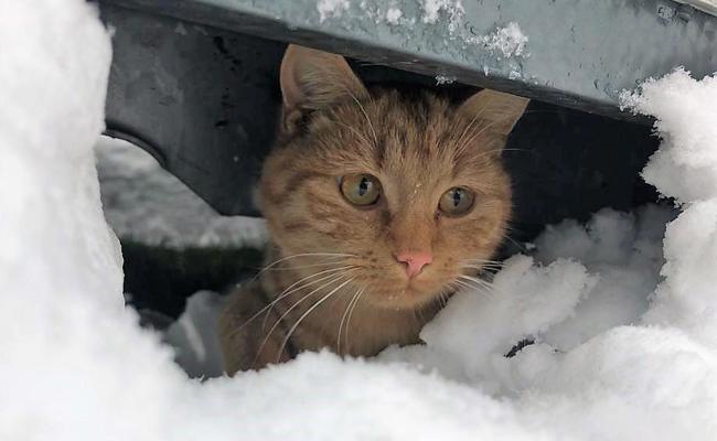 Gesucht: die schönsten Schneebilder