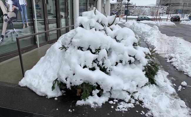 Christbäume bleiben bis Montag liegen
