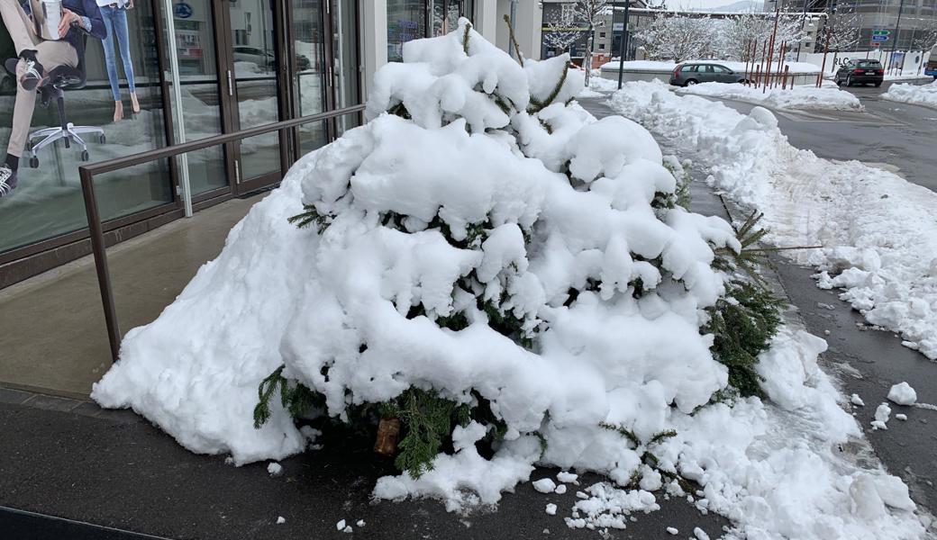 Zugeschneit, aber nicht vergessen. Die Christbaumsammlung in Heerbrugg ist am Montag, 14. Januar.