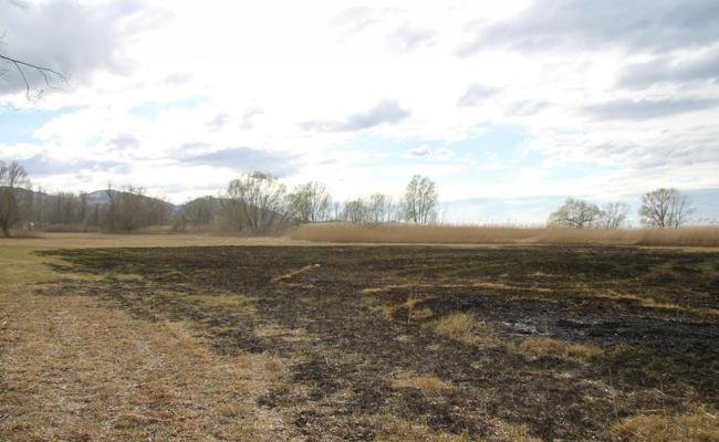 Flächenbrand im Höchster Ried