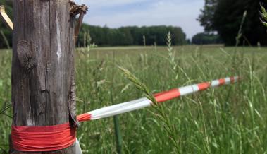 Strassenbau: Boden den Bauern kompensieren