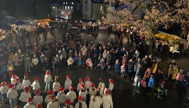 Stimmungsvoller Weihnachtsmarkt der Primarschule