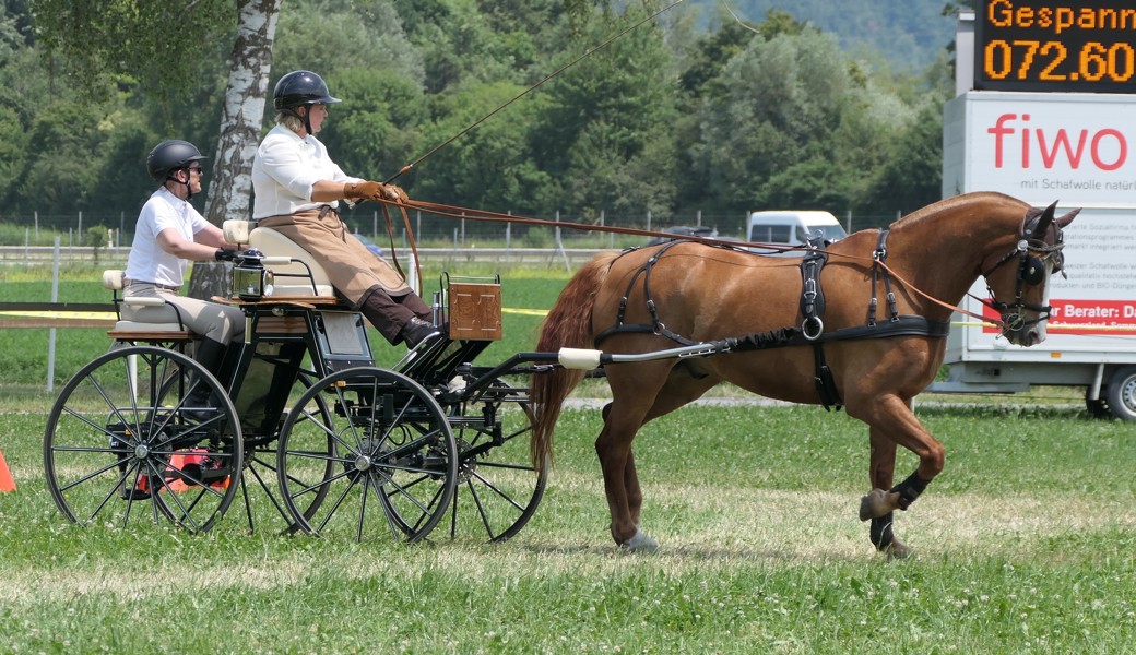 Gespannfahrverein Rheintal überzeugt mit gelungenem Fahrsporttag