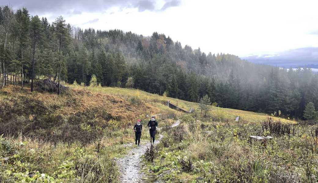 Die Strecke führt durch viel Natur auf den Stoss.