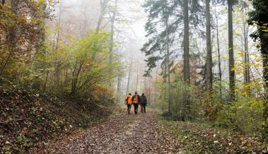 Altstätter Jagdgesellschaft verzichtet auf Treibjagd – der Aufwand ist zu gross