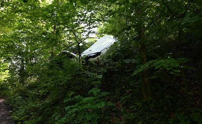 Fahrunfähig: Mit dem Auto im Unterholz gelandet