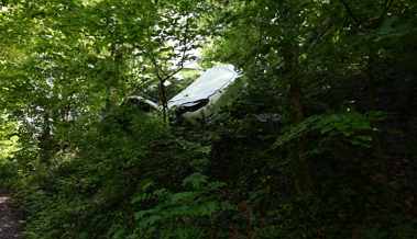 Fahrunfähig: Mit dem Auto im Unterholz gelandet