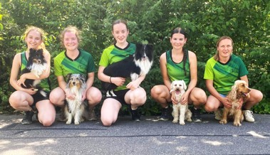 Die Hundeschule «Team Training» glänzt in Wohlen