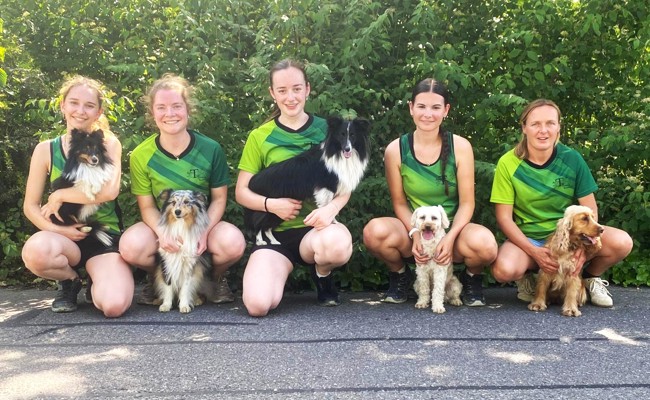 Die Hundeschule «Team Training» glänzt in Wohlen