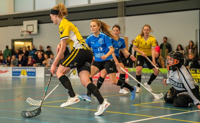 Die Gators-Frauen nehmen in der 2. Liga Kurs auf den Gruppensieg