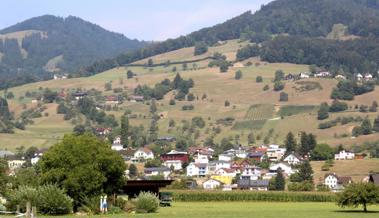 Die Südhänge sind knochentrocken