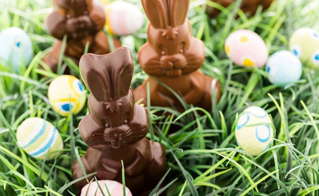 Schokoholic: Wohin mit der ganzen Schokolade nach Ostern?