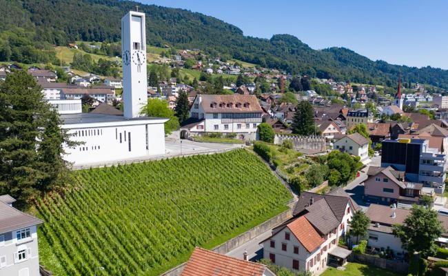 Rebstein schliesst gut ab und will die Steuern senken