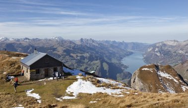 Wanderer entdeckt gerissene Schafe: Waren es die Churfirsten-Wölfe?