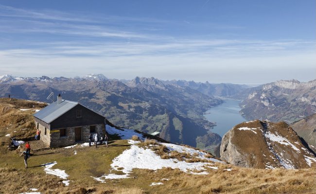 Wanderer entdeckt gerissene Schafe: Waren es die Churfirsten-Wölfe?