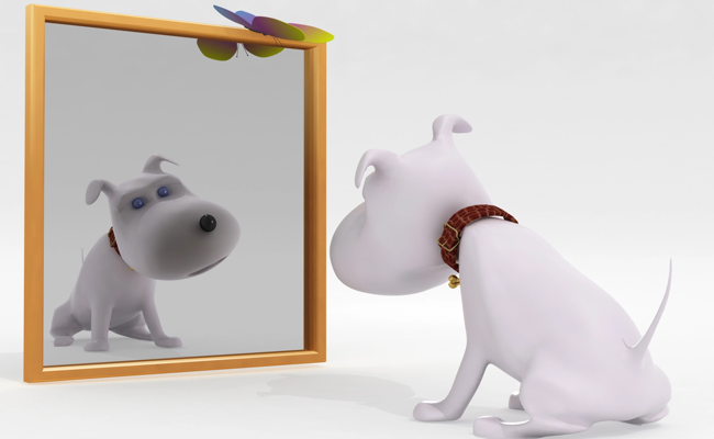 Spieglein, Spieglein an der Wand – welche ist die stimmungsvollste Eishalle im Land?