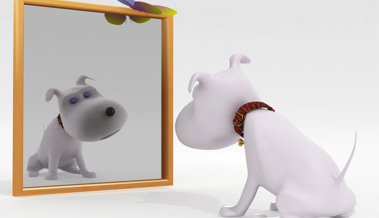 Spieglein, Spieglein an der Wand – welche ist die stimmungsvollste Eishalle im Land? Spieglein, Spieglein an der Wand – welche ist die stimmungsvollste Eishalle im Land?