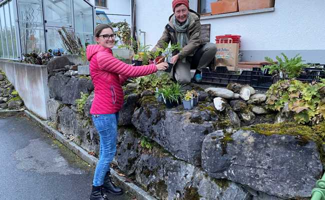 Pro Riet-Pflanzenaktion begeistert 140 Teilnehmende