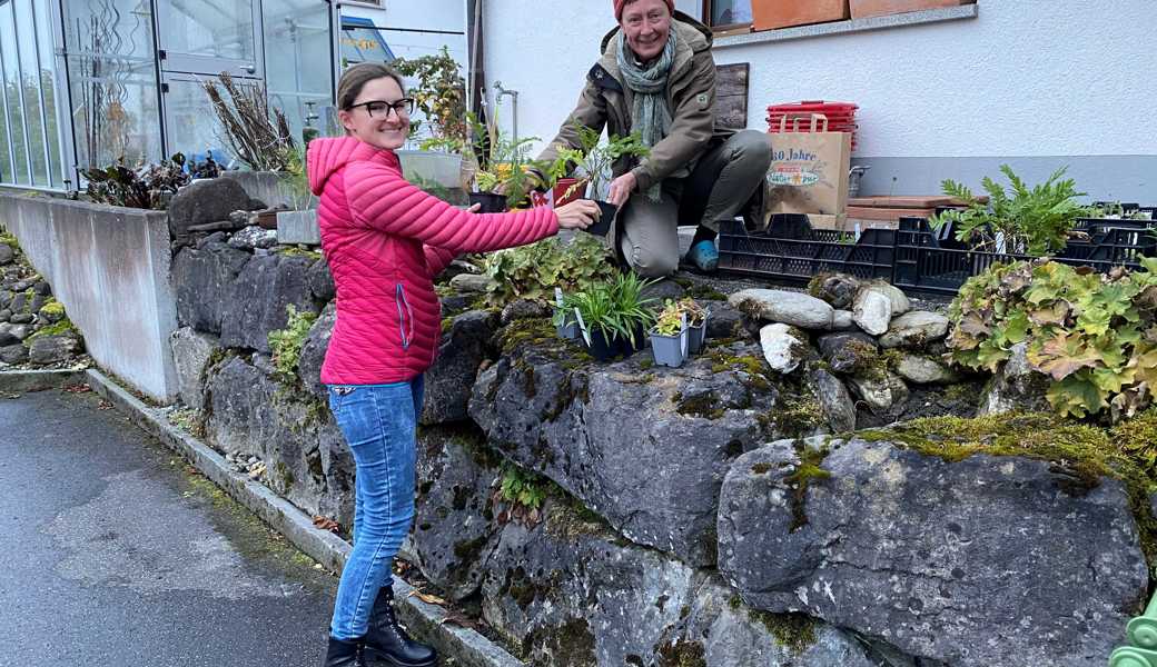 Agnes Schümperlin von der Naturschutzgruppe Alta Rhy übergibt beim Abholort in Diepoldsau die Wildblumen.