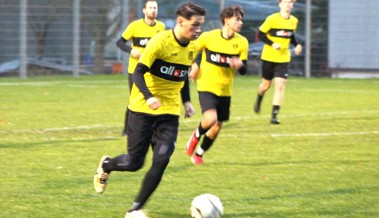 FC Heiden völlig entfesselt: Zur Pause 5:0, am Ende 6:0 FC Heiden völlig entfesselt: Zur Pause 5:0, am Ende 6:0