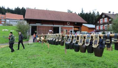 Die Viehschau in Walzenhausen: 16 Bilder