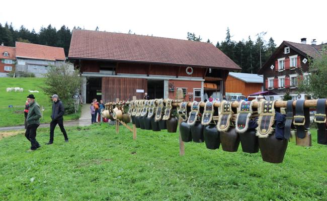 Die Viehschau in Walzenhausen: 16 Bilder