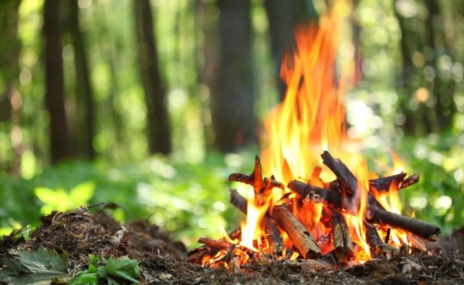 Kommt das nächste Feuerverbot?