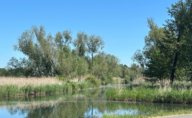 Eine Ferienwoche im Spreewald als Lektion zum deutschen Röstigraben